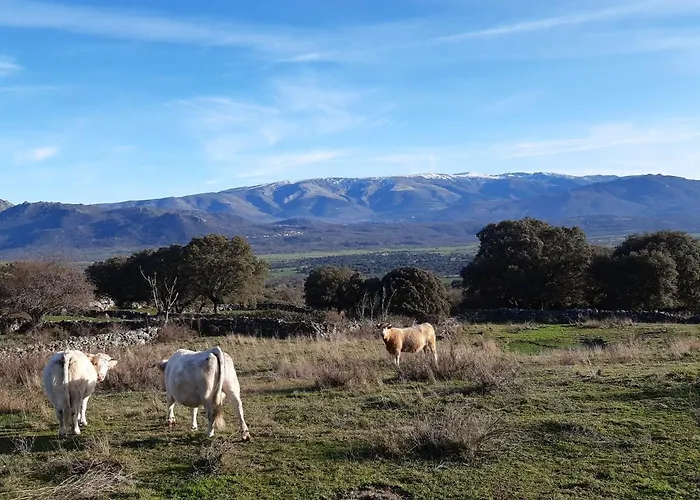 Mi Descanso Kır Evi